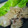 ★RIAmam★'s cooksnap of when they made 我が家の豚のしょうが焼き♪　.