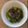 みるく茶's cooksnap of when they made 水菜と納豆のサラダ.