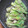 あいぱらりん's cooksnap of when they made たらの芽の胡麻和え.