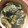 羽尼うに's cooksnap of when they made コク旨〜♪茄子のゴマ煮.