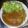 minustars's cooksnap of when they made 豚かたまり肉で　みそダレ焼き.