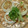 celamica's cooksnap of when they made 簡単☆まるごと!新玉ねぎ☆.