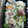 もりもりたまご's cooksnap of when they made 簡単　菜の花ご飯.
