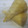 えりにい's cooksnap of when they made 炊飯器で筍を茹でよう♪.