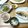 ごんたいぬ's cooksnap of when they made お食い初め.