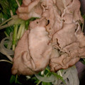 ラーメンひよこまま's cooksnap of when they made 水菜と豚肉のさっぱり和え.