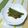 やゆみ's cooksnap of when they made インゲンの揚げ浸し.