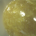 ぽよ花's cooksnap of when they made 我が家の定番！トロ旨っ卵スープ.