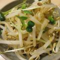 mcc5646's cooksnap of when they made 箸が止まらない！もやしだけのナムル.