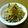 ﾗﾋﾞｭﾝ's cooksnap of when they made 美味しい炊き込みご飯.