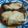 たんぽぽぴく's cooksnap of when they made ブリの照り焼き.