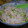 連太郎's cooksnap of when they made 枝豆と焼きたらこのおにぎり。.