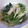 myufair's cooksnap of when they made ほうれん草と水菜のゴマ和え.