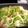 おたく！'s cooksnap of when they made 春キャベツとアンチョビのパスタ.
