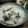 Ｔｉｎｙ's cooksnap of when they made 白菜の浅漬け.