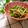 悠おかしゃん's cooksnap of when they made 水菜のごま辛子醤油和え.