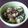 ヨｳちゃん's cooksnap of when they made お手軽きゅうりの韓国風.