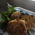 vermillion's cooksnap of when they made 具だくさん！根菜ゴロゴロ豚ひき肉のつくね.