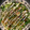 大王イカ's cooksnap of when they made 【男の料理】お好み焼き風巣篭もり卵.