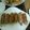 mrknmb's cooksnap of when they made ★節約!豚肉のﾓﾔｼ巻き★.