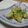 きゅうりのぬかづけ's cooksnap of when they made 山の恵み♪タラの芽の天ぷら.