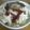 みちこちゅぽま's cooksnap of when they made ノンフライのソースカツ丼風.