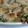 ぴんやよ's cooksnap of when they made キャベツとジャガイモのマヨグラタン.
