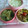 じぇしか・しゃな's cooksnap of when they made ♪豚ともやしの和風わさび風味スープ♪.