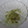 Lunano's cooksnap of when they made わらびもち★片栗粉編★.