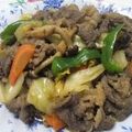 yossyism's cooksnap of when they made 簡単すぎる！！プルコギ.