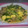 ひろこ5762's cooksnap of when they made 水菜と海老と豚肉の炒めもの.