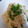 みーのまま's cooksnap of when they made 大根とツナのオイマヨサラダ.