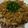 ゆみんちゅ★'s cooksnap of when they made 豚肉をえのきソースで☆.