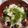 ミマト's cooksnap of when they made 簡単１人ランチに♪釜あげしらす丼.