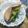 ｐｏｙｏｍｉ＊'s cooksnap of when they made 爽やかセロリのサンドイッチ.