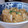 nekoinusa's cooksnap of when they made 里芋のともあえ　☆簡単１５分☆.