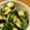 しぃたろ's cooksnap of when they made たたききゅうりの中華風和え.