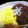きりこっく's cooksnap of when they made 簡単定番！そぼろ丼.