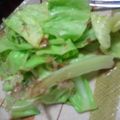 happyriisa's cooksnap of when they made 簡単！３分で出来る！春キャベツのお浸し.
