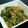 ちね坊's cooksnap of when they made 炒めものに！万能オイスターソースだれ.