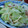ちょこちょこ♬'s cooksnap of when they made 生ハムと新タマネギのサラダ.