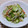 ねっちゃんっ's cooksnap of when they made もやしときゅうりのごま酢のもの.