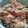 タクミクロン's cooksnap of when they made 鮭の炊き込みご飯.