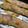 hotarukko's cooksnap of when they made ズッキーニのベーコンチーズ焼き♥.