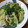 ゆっきーに☆ﾐ's cooksnap of when they made たけのことしいたけの和風パスタ.