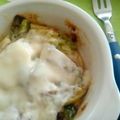 奏／あっこ's cooksnap of when they made 長ネギチーズ焼き.