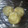 かめ59's cooksnap of when they made サクサク★ほくほく長いもマヨポン.