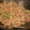 MAYA0603's cooksnap of when they made あの味を再現！激辛タイ炒飯.
