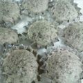 NANAMOCO's cooksnap of when they made 簡単＊苺蒸しパン★おやつ＆朝食に！.