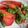 ♩キティ♩'s cooksnap of when they made 混ぜるだけ簡単◎トマトと大葉のマリネ.